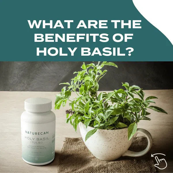 Holy Basil Capsules