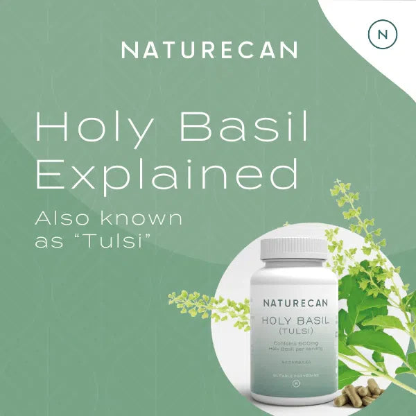 Holy Basil Capsules