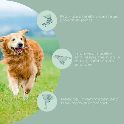 UC-II® Joint Care Dog Chews