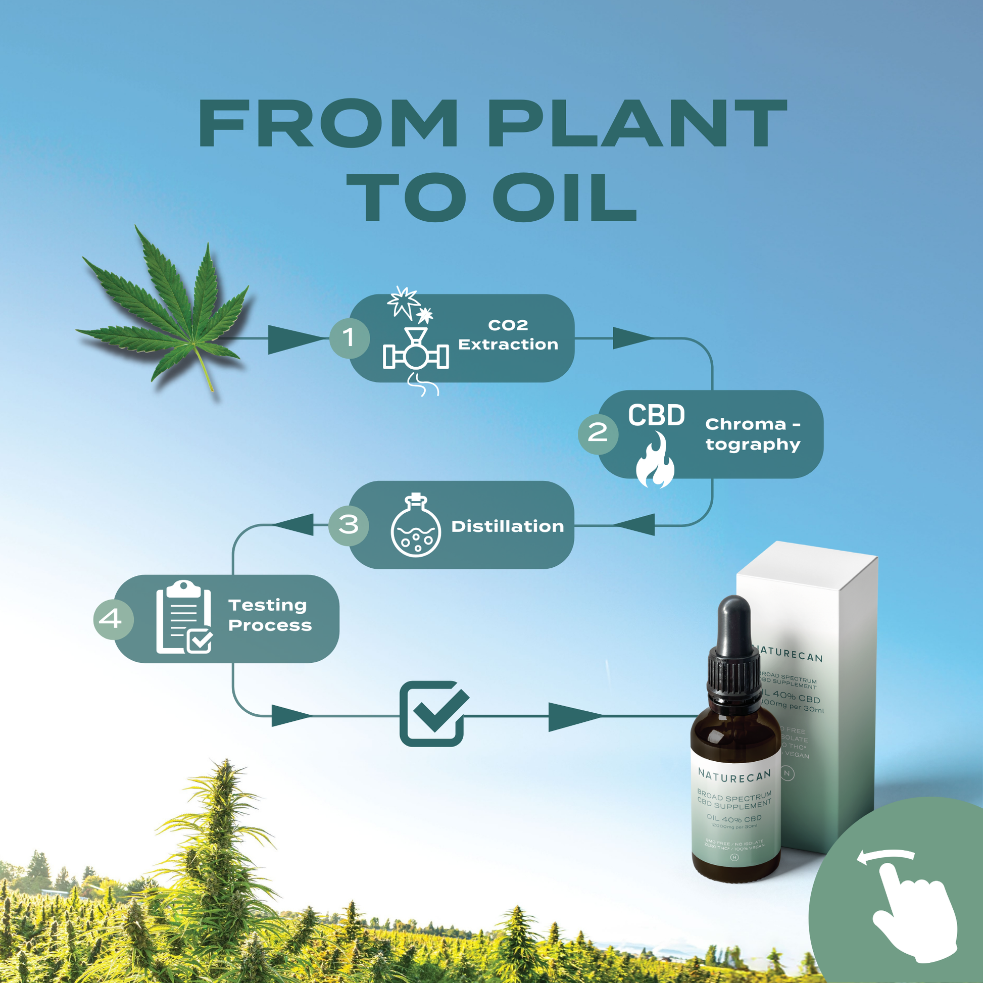 10% CBD Oil