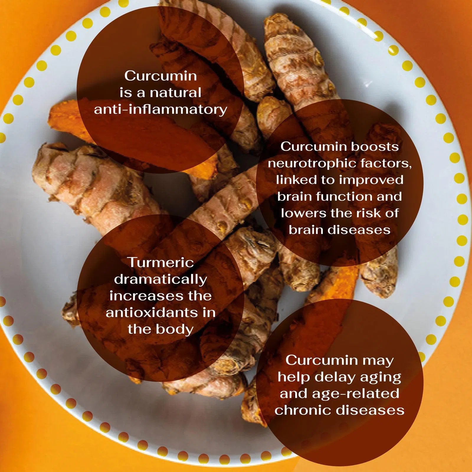 Active Curcumin