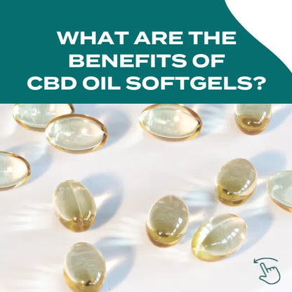 CBD Oil Capsules