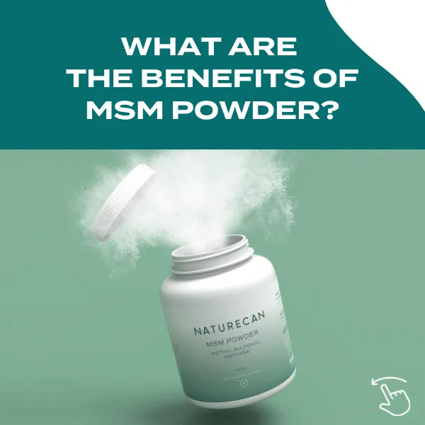 MSM Powder